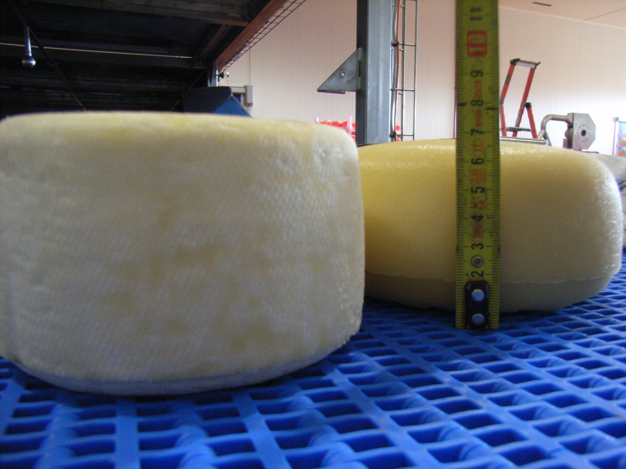 Desarrollo de producto